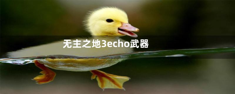 无主之地3echo武器