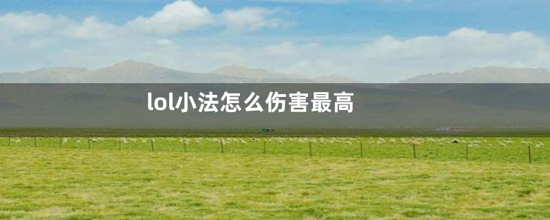 lol小法怎么伤害最高