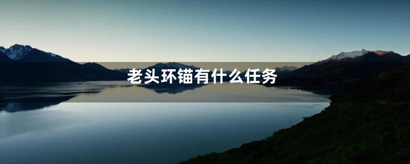 老头环锚有什么任务