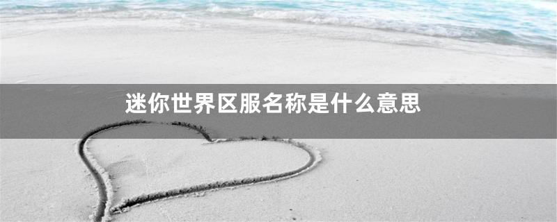 迷你世界区服名称是什么意思