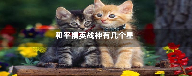 和平精英战神有几个星