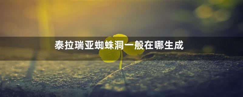 泰拉瑞亚蜘蛛洞一般在哪生成