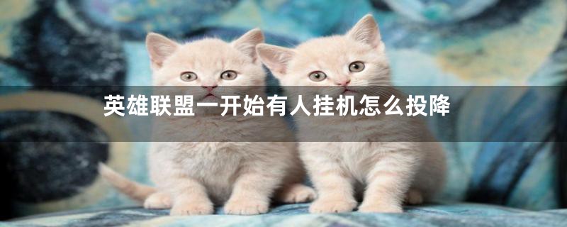 英雄联盟一开始有人挂机怎么投降