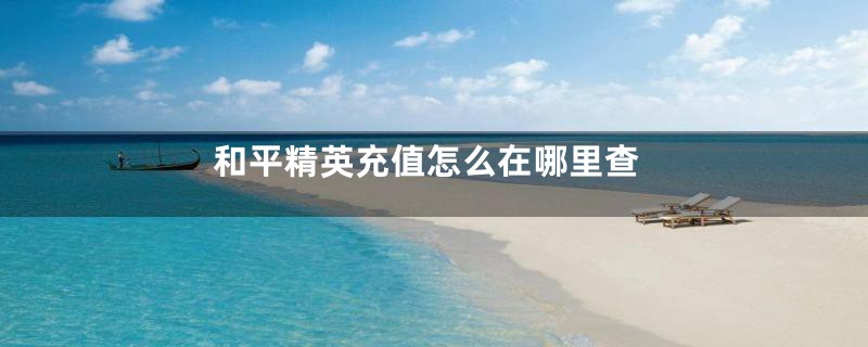 和平精英充值怎么在哪里查