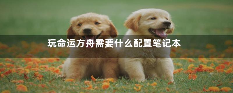 玩命运方舟需要什么配置笔记本