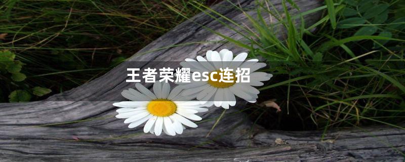 王者荣耀esc连招