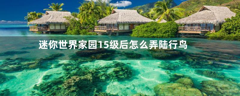 迷你世界家园15级后怎么弄陆行鸟