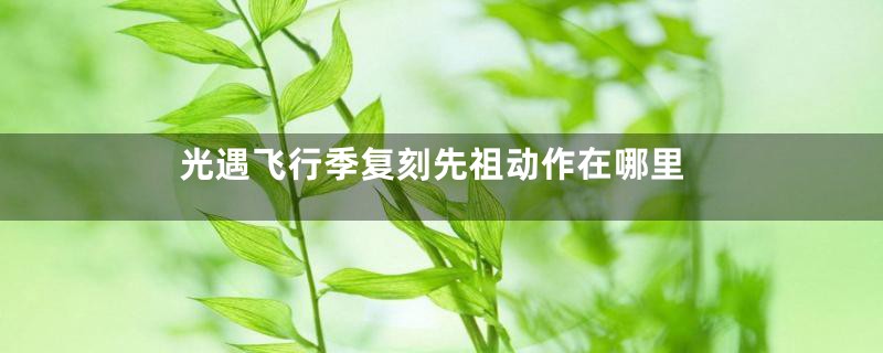 光遇飞行季复刻先祖动作在哪里