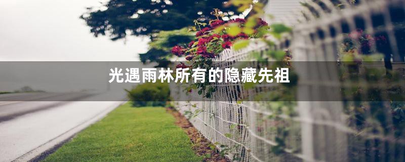 光遇雨林所有的隐藏先祖