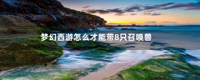 梦幻西游怎么才能带8只召唤兽