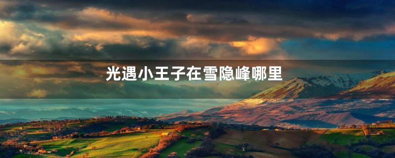 光遇小王子在雪隐峰哪里