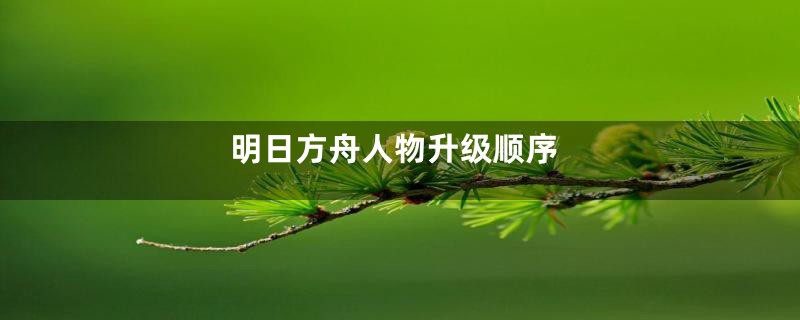 明日方舟人物升级顺序