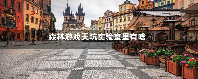森林游戏天坑实验室里有啥