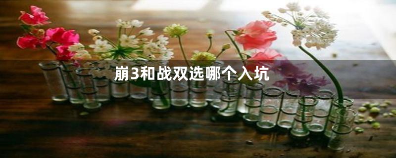 崩3和战双选哪个入坑
