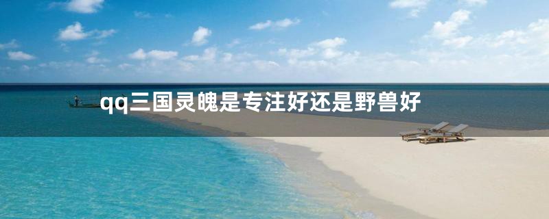 qq三国灵魄是专注好还是野兽好