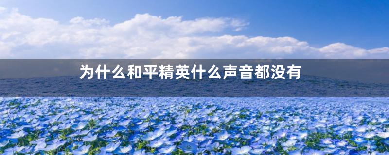 为什么和平精英什么声音都没有