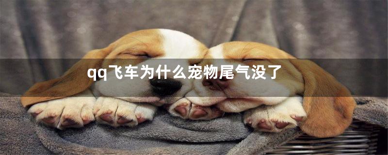 qq飞车为什么宠物尾气没了