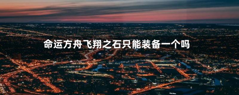 命运方舟飞翔之石只能装备一个吗