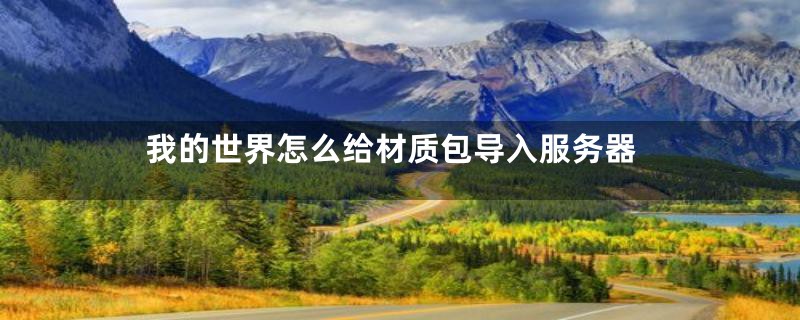 我的世界怎么给材质包导入服务器