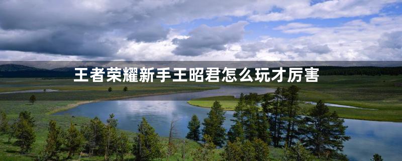 王者荣耀新手王昭君怎么玩才厉害