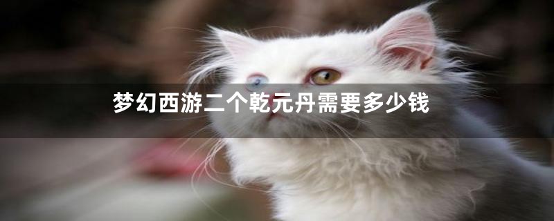 梦幻西游二个乾元丹需要多少钱