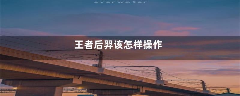 王者后羿该怎样操作