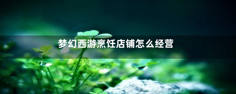 梦幻西游烹饪店铺怎么经营