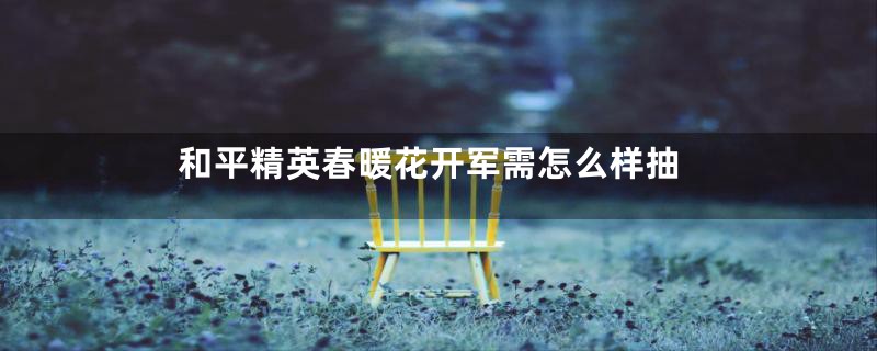 和平精英春暖花开军需怎么样抽
