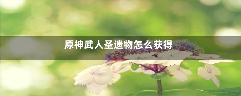 原神武人圣遗物怎么获得