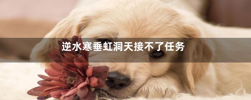 逆水寒垂虹洞天接不了任务