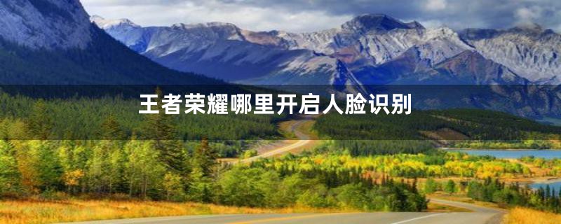 王者荣耀哪里开启人脸识别