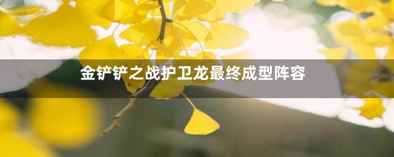 金铲铲之战护卫龙最终成型阵容