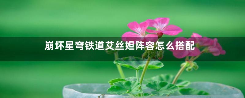 崩坏星穹铁道艾丝妲阵容怎么搭配