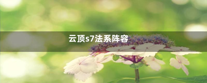 云顶s7法系阵容