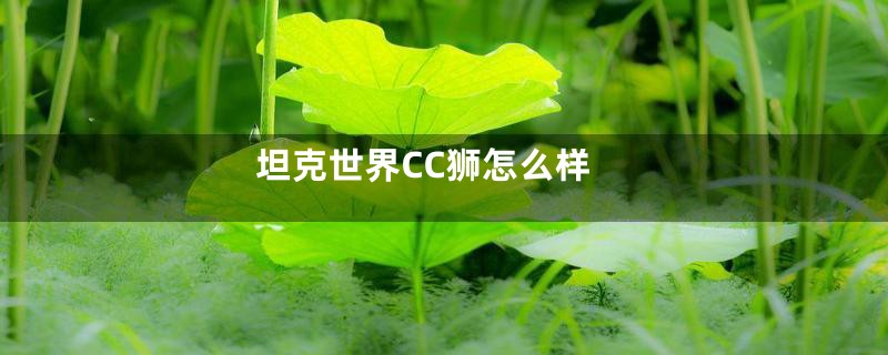 坦克世界CC狮怎么样