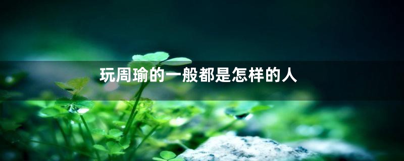 玩周瑜的一般都是怎样的人