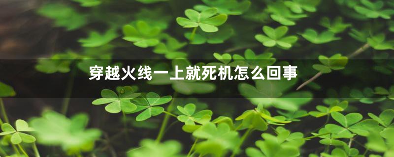 穿越火线一上就死机怎么回事