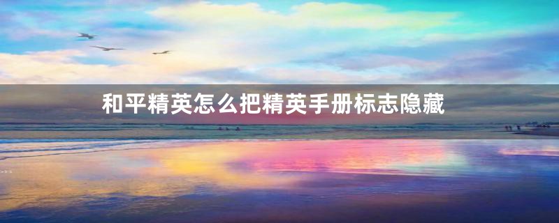 和平精英怎么把精英手册标志隐藏