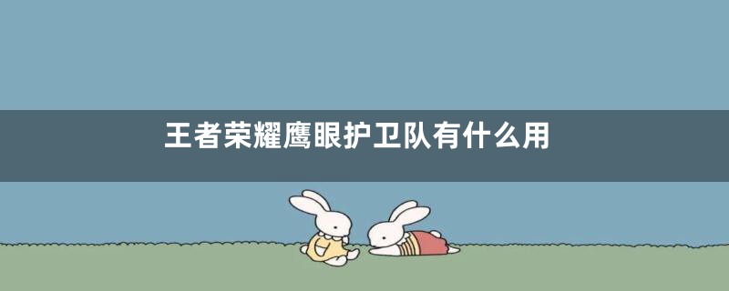 王者荣耀鹰眼护卫队有什么用