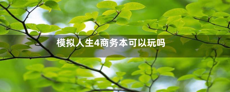 模拟人生4商务本可以玩吗