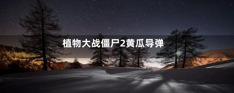 植物大战僵尸2黄瓜导弹