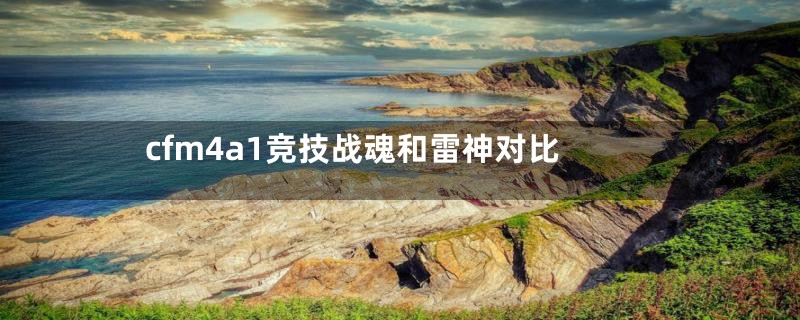 cfm4a1竞技战魂和雷神对比