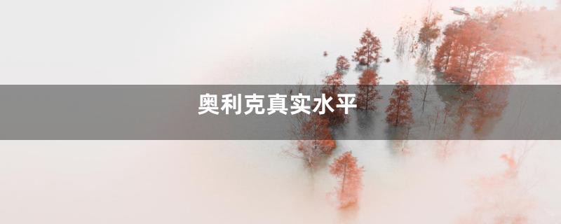 奥利克真实水平