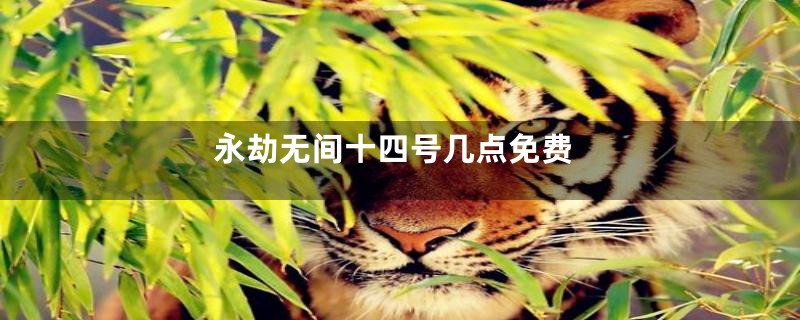 永劫无间十四号几点免费