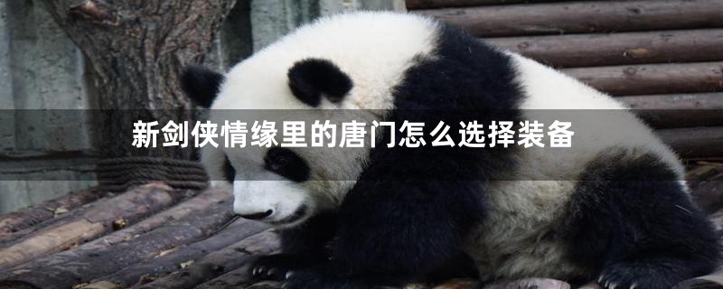 新剑侠情缘里的唐门怎么选择装备