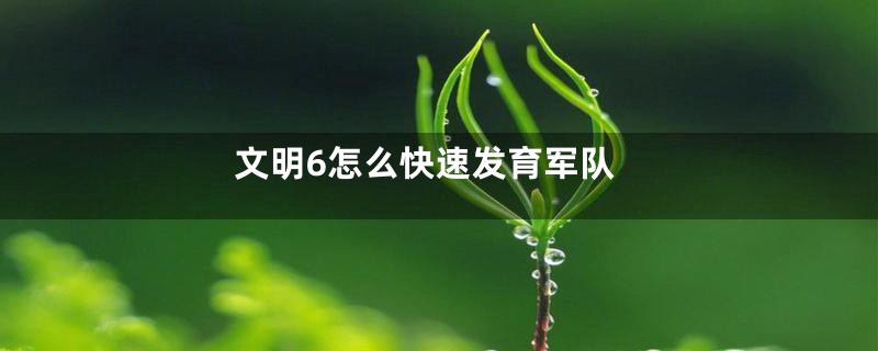 文明6怎么快速发育军队
