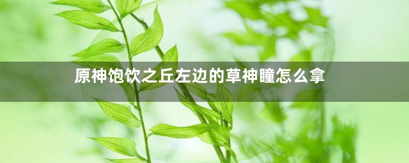 原神饱饮之丘左边的草神瞳怎么拿