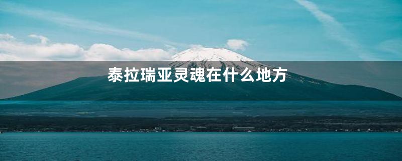 泰拉瑞亚灵魂在什么地方