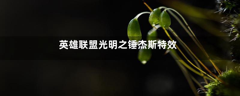 英雄联盟光明之锤杰斯特效