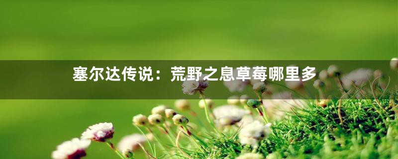 塞尔达传说:荒野之息草莓哪里多